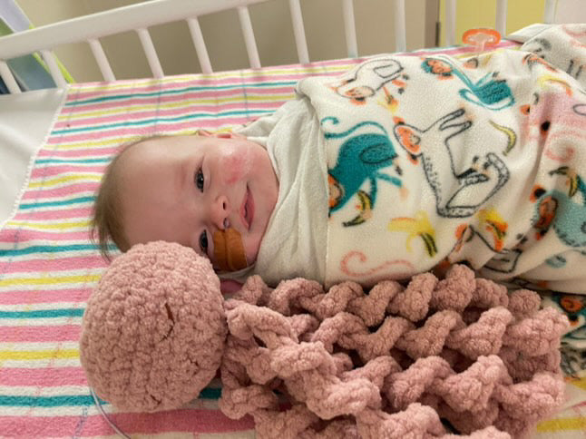 Ollie The Calming Octopus