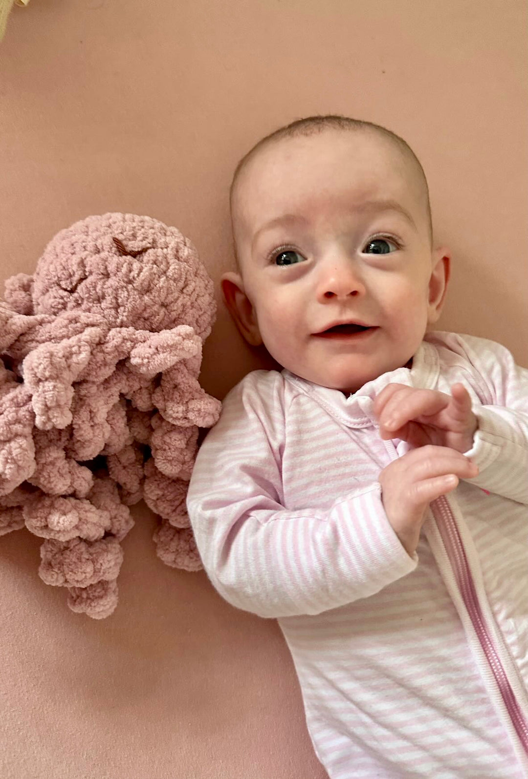 Mini Ollie The Calming Octopus