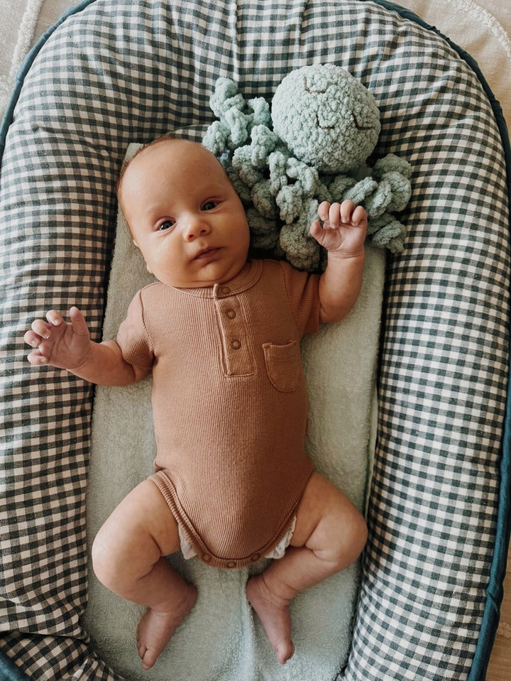 Ollie The Calming Octopus