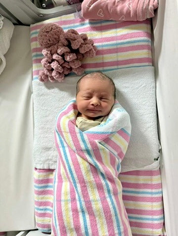 Mini Ollie The Calming Octopus