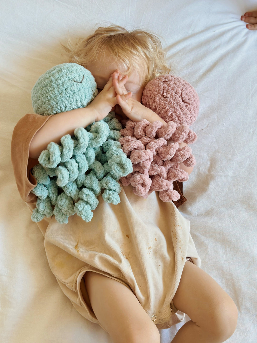 Ollie The Calming Octopus