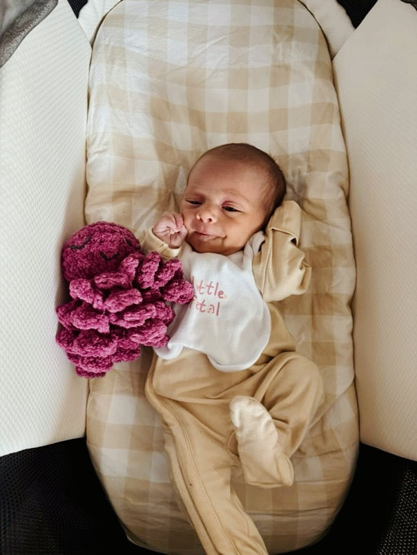 Mini Ollie The Calming Octopus