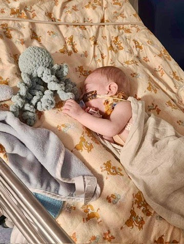 Mini Ollie The Calming Octopus SEAFOAM
