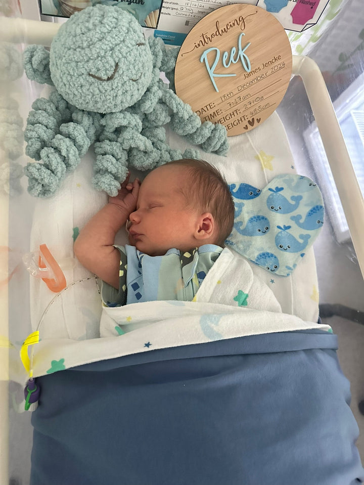 Sunshine Ollie the Calming Octopus