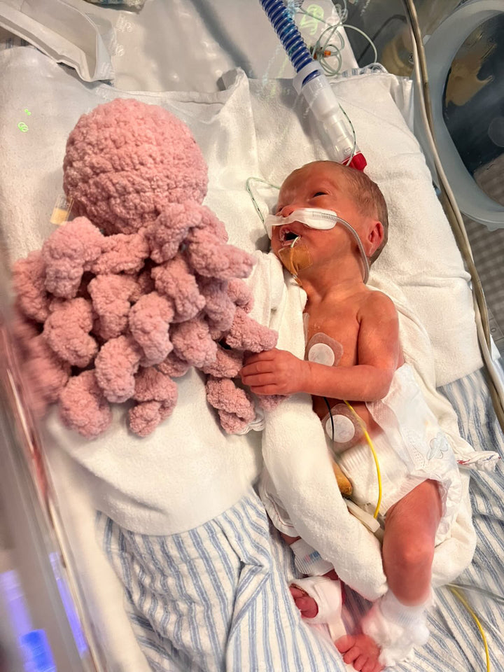 Mini Ollie The Calming Octopus