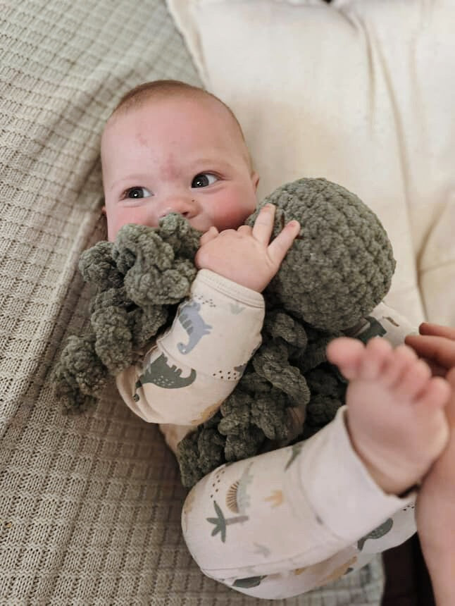 Mini Ollie The Calming Octopus SAGE