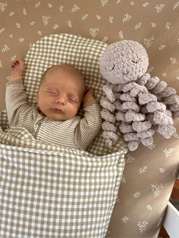 Sunshine Ollie the Calming Octopus