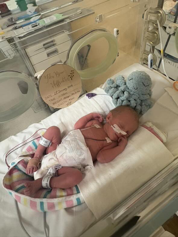 Mini Ollie The Calming Octopus