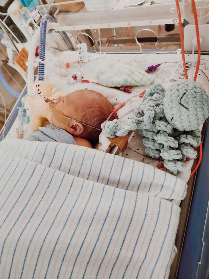 Mini Ollie The Calming Octopus