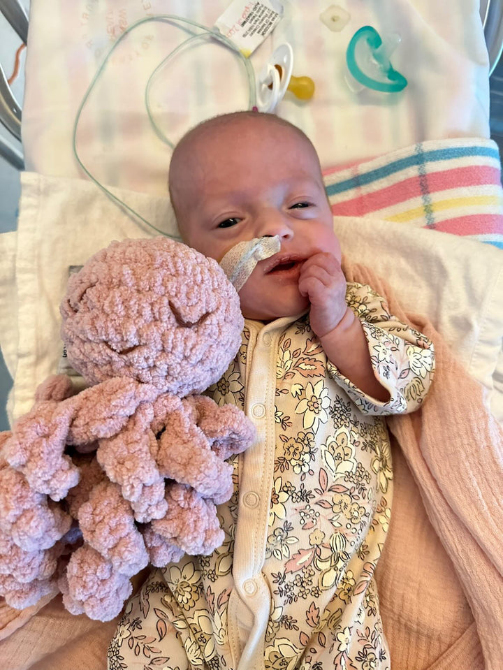 Mini Ollie The Calming Octopus