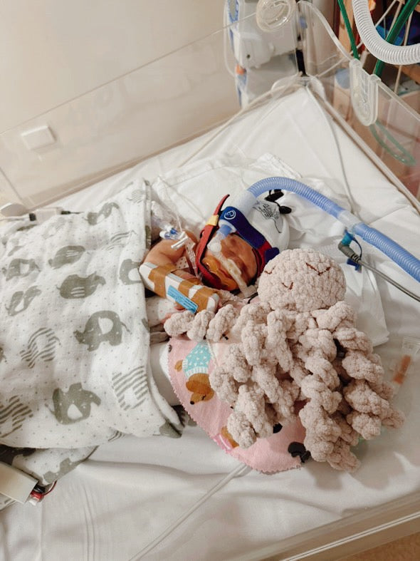 Mini Ollie The Calming Octopus