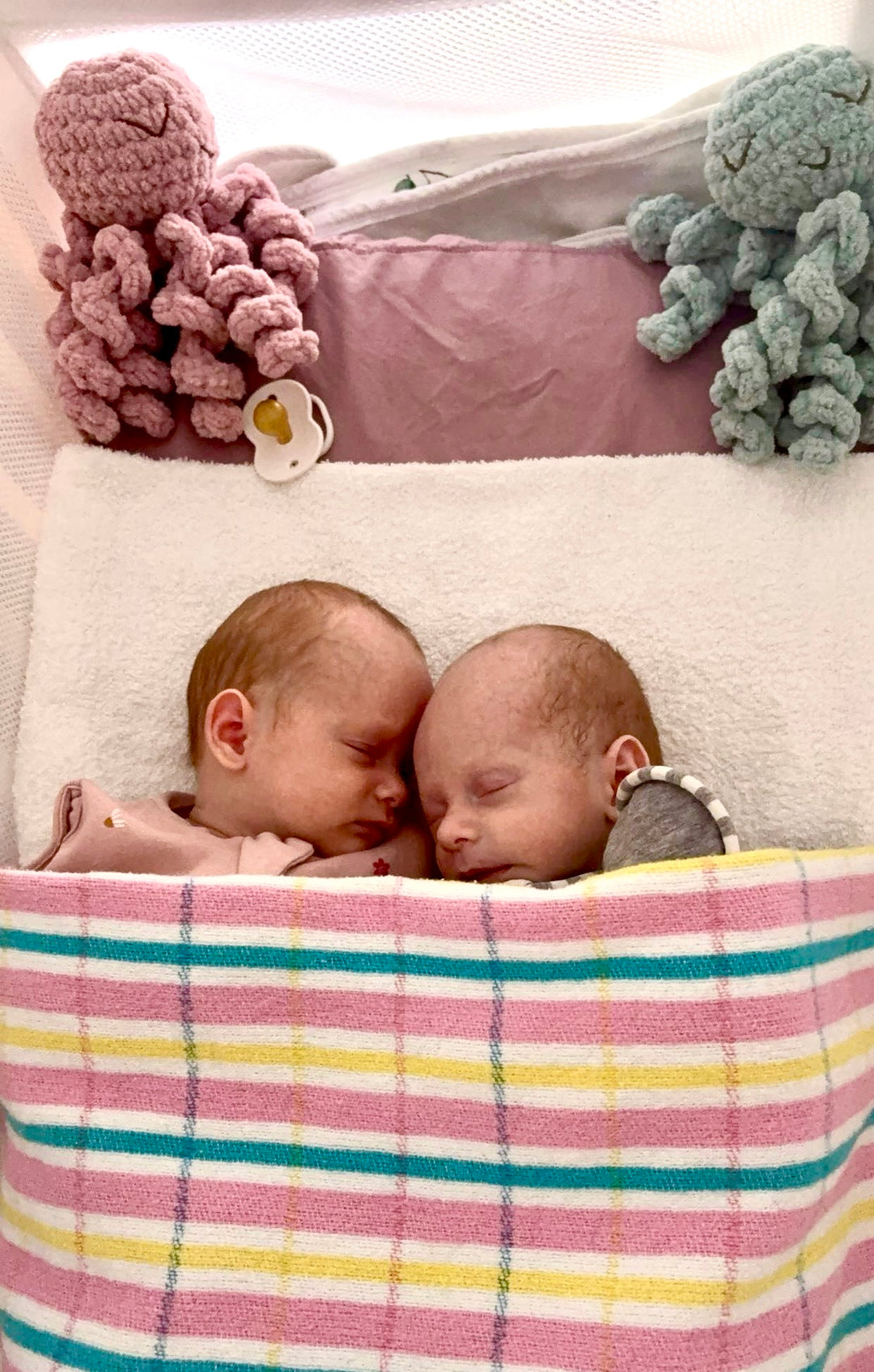 Mini Ollie The Calming Octopus