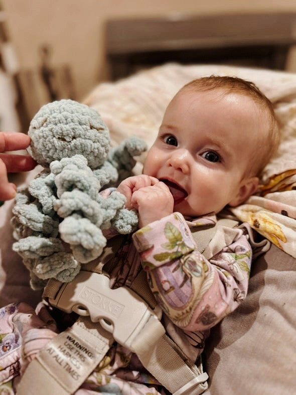 Mini Ollie The Calming Octopus