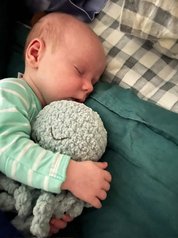 Ollie The Calming Octopus