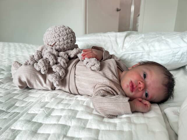 Mini Ollie The Calming Octopus