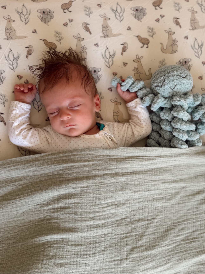 Ollie The Calming Octopus