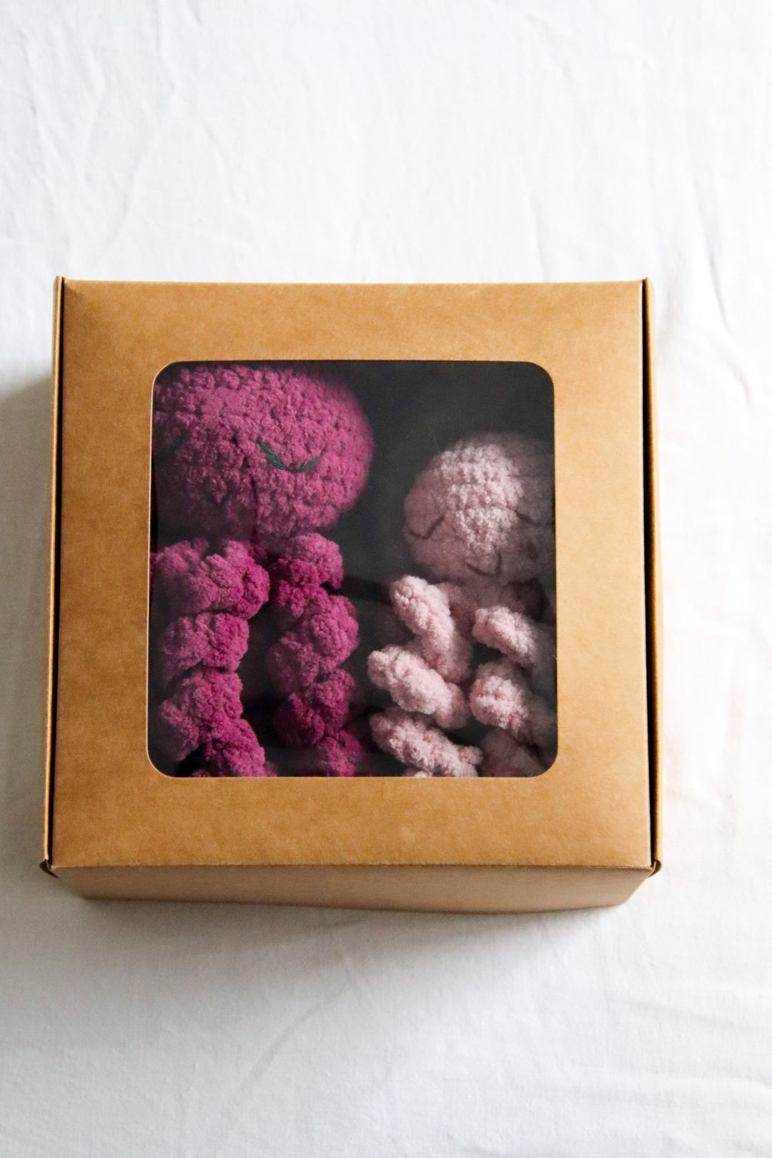 The Ollie Mystery Box