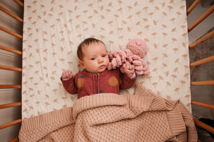 Mini Ollie The Calming Octopus