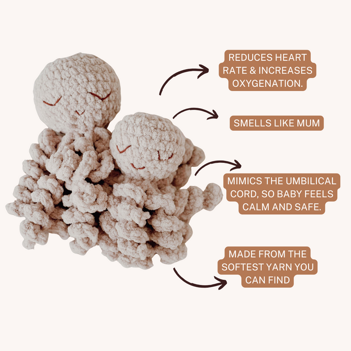 Mini Ollie The Calming Octopus