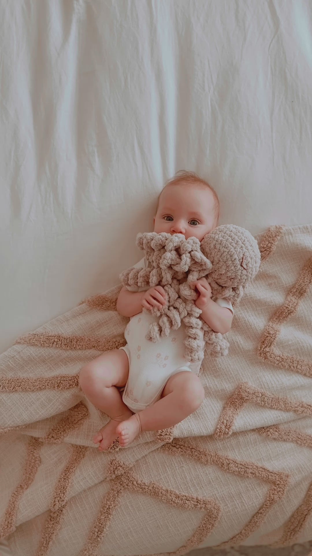 Ollie The Calming Octopus